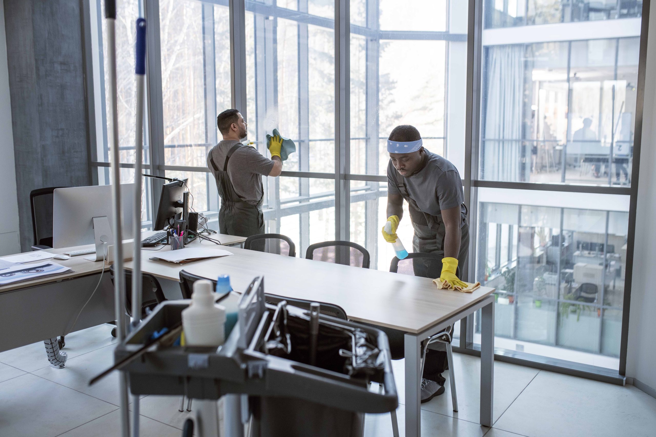 Ofice cleaning